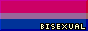 Bisexual pride