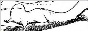 brushbaddy.png