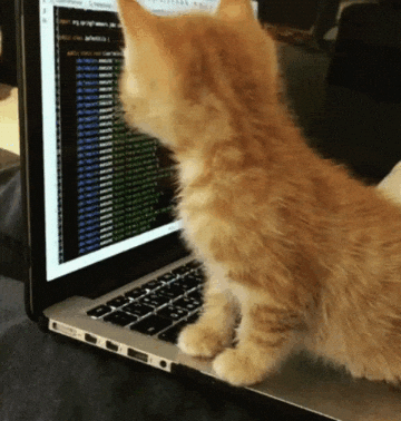 CatCoder